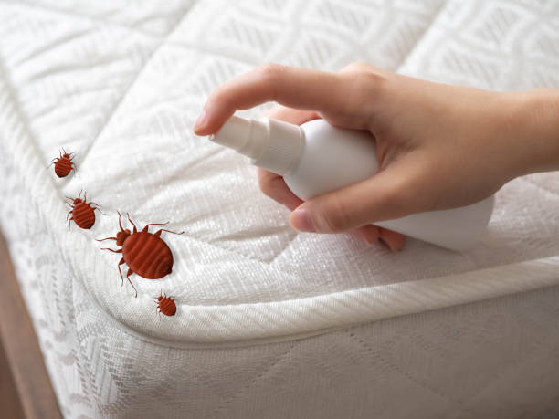 Best Affordable Pest Control Services  in Belvidere, NJ